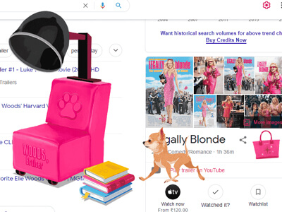 Google Luật sư tóc vàng Easter Egg